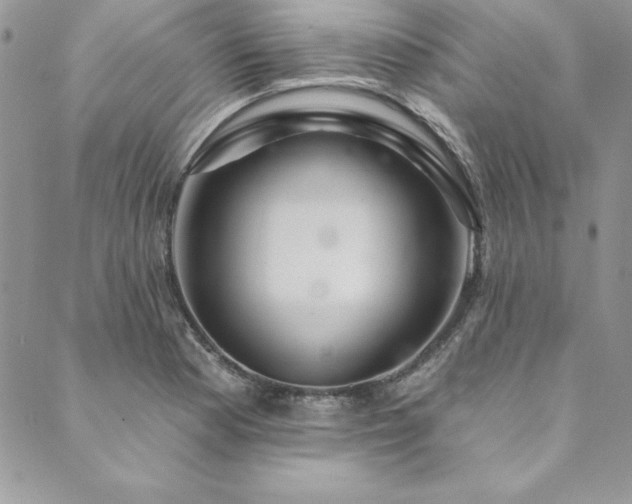 X0000090501177200707131345