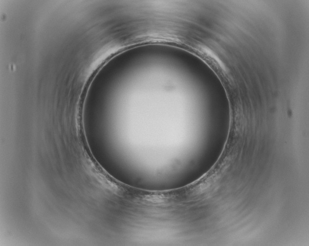X0000090501182200707131344