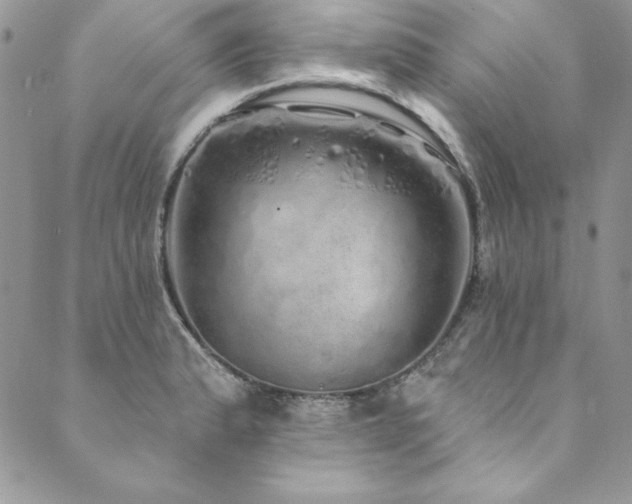 X0000090501183200707131344