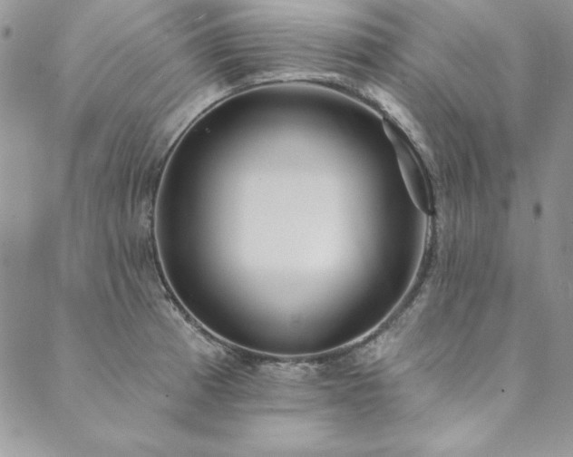 X0000090501185200707131344
