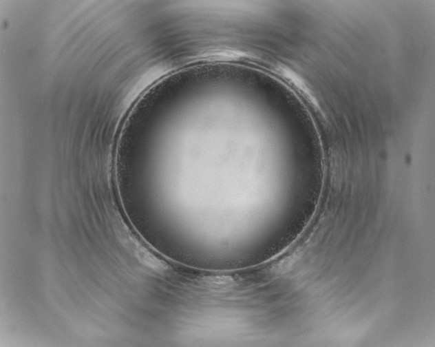 X0000090501186200707131344
