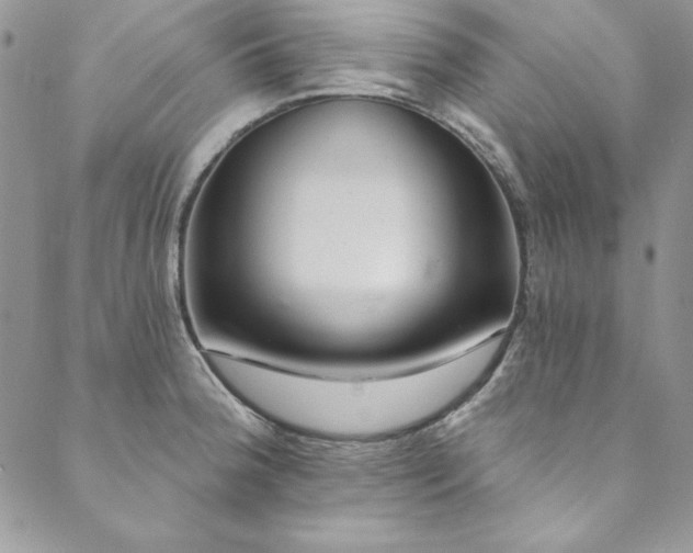 X0000090501188200707131344