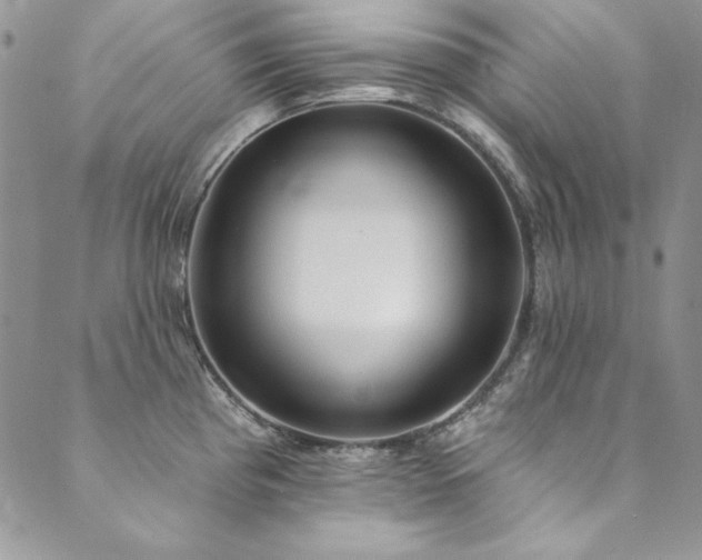 X0000090501193200707131344