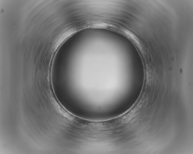 X0000090501194200707131344