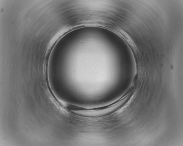 X0000090501196200707131344