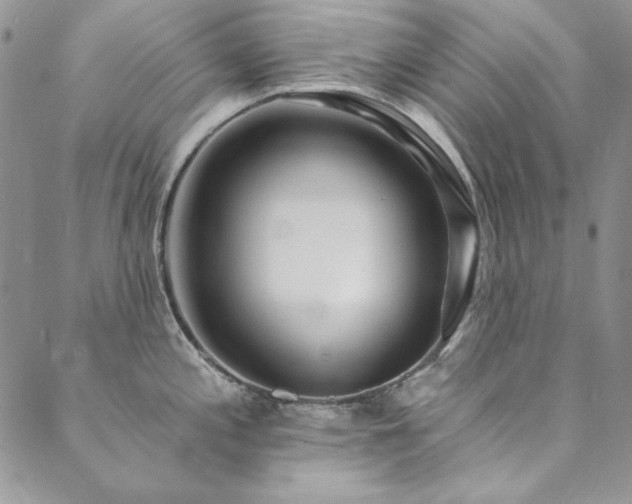 X0000090501197200707131344