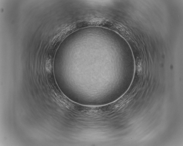 X0000090501204200707131343