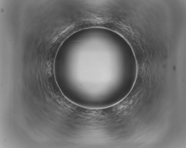X0000090501205200707131343