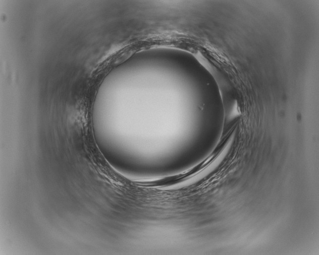 X0000090501206200707131343