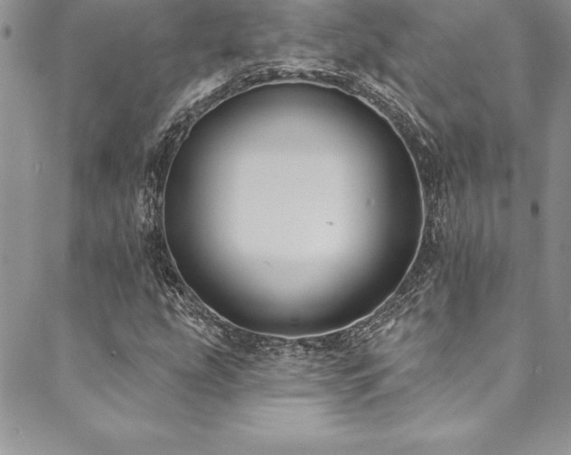 X0000090501207200707131343