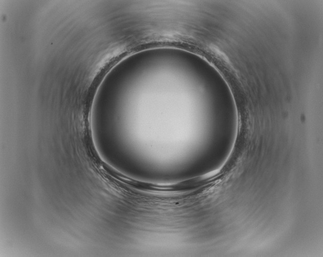X0000090501218200707131344