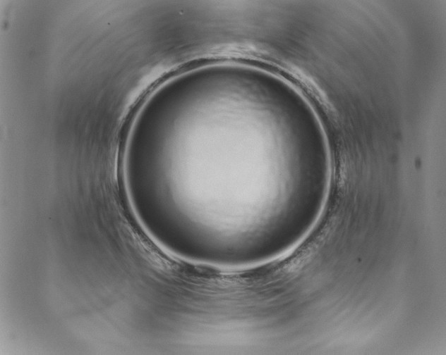 X0000090501224200707131344