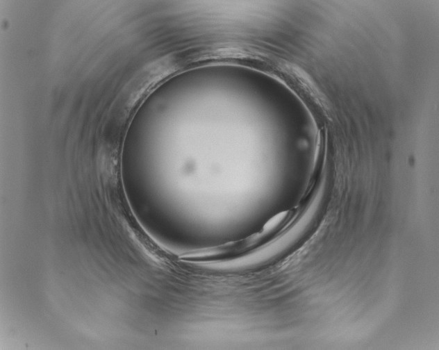 X0000090501225200707131344