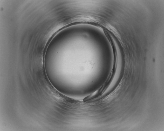 X0000090501226200707131344