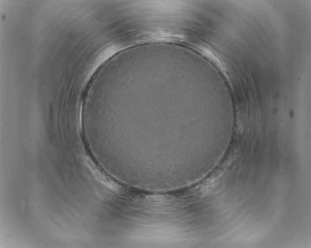X0000090501227200707131344