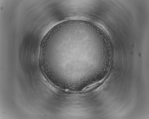 X0000090501228200707131344