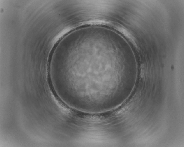 X0000090501229200707131344