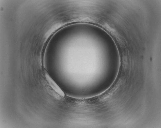 X0000090501230200707131344