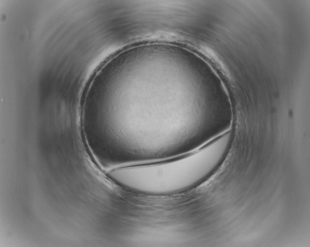 X0000090501232200707131344