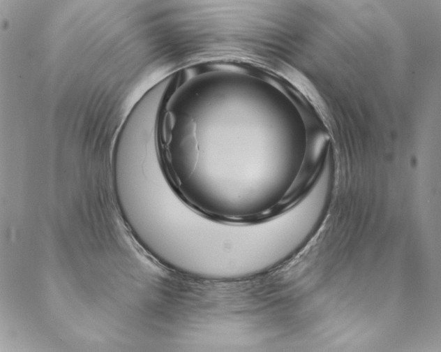 X0000090501242200707131344