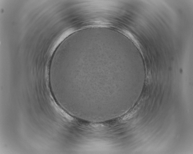 X0000090501243200707131344