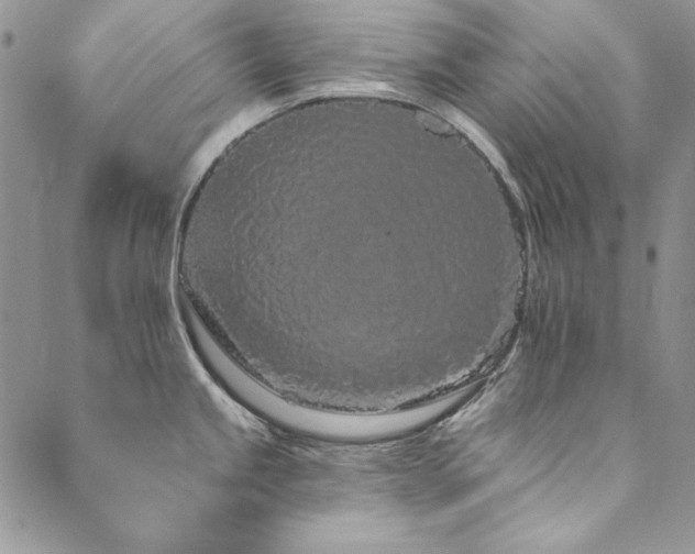 X0000090501245200707131344