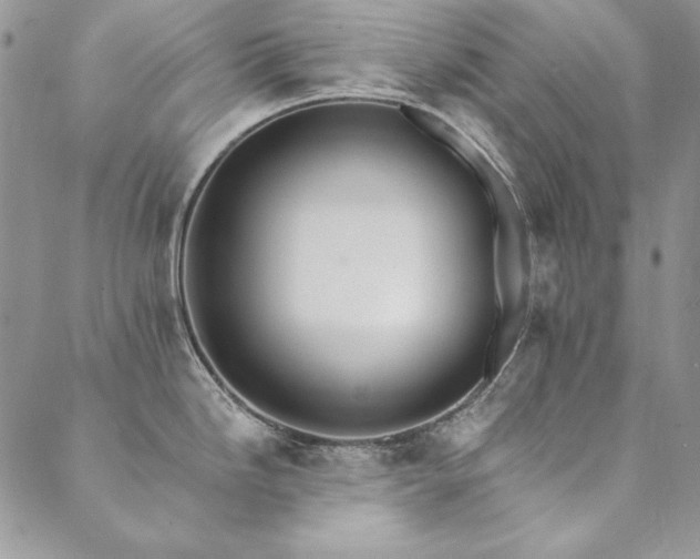 X0000090501246200707131344