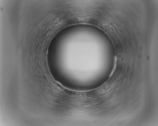 X0000090501249200707131343