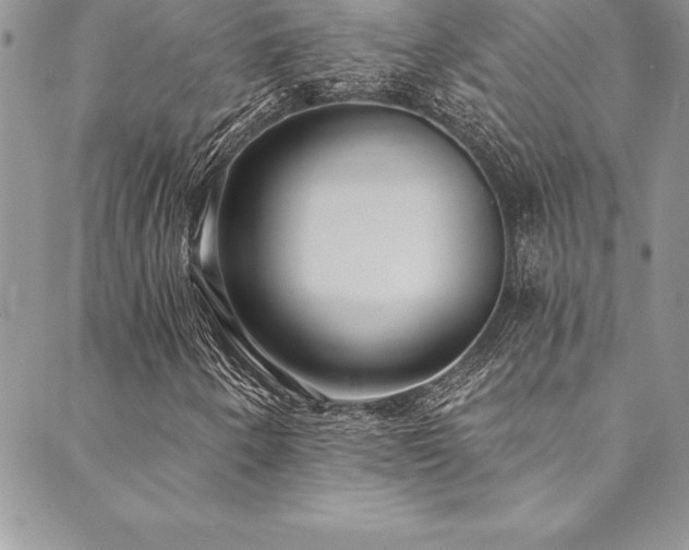 X0000090501250200707131343