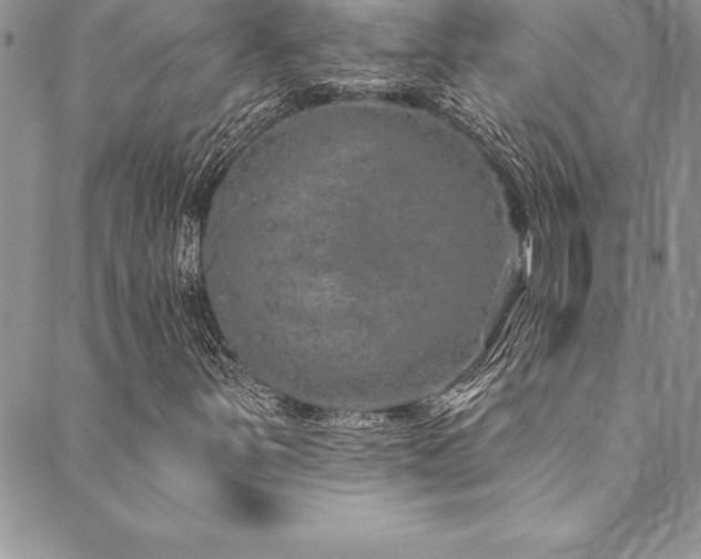 X0000090501251200707131343