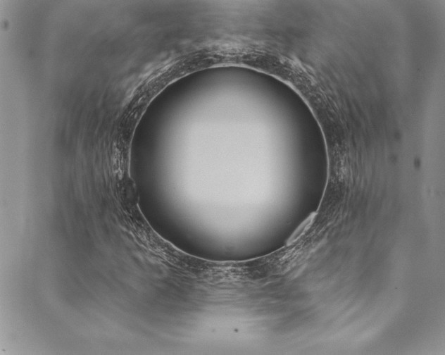 X0000090501253200707131343