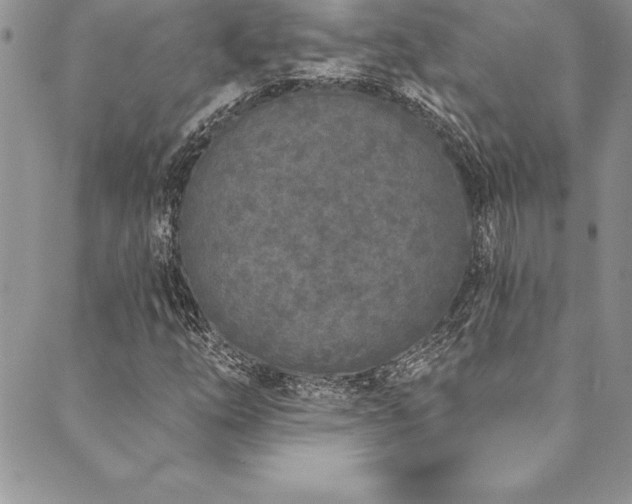 X0000090501254200707131343