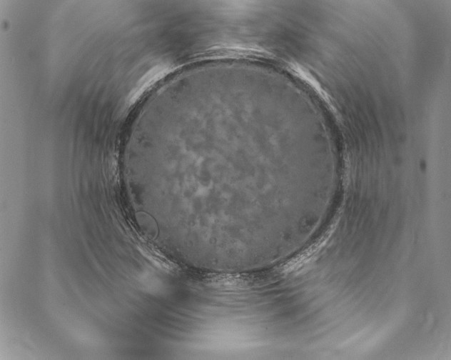 X0000090501259200707131343