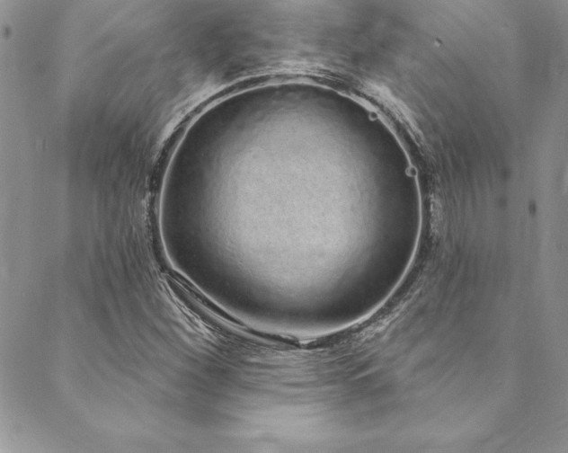 X0000090501260200707131343