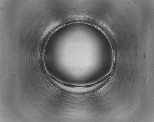 X0000090501261200707131343
