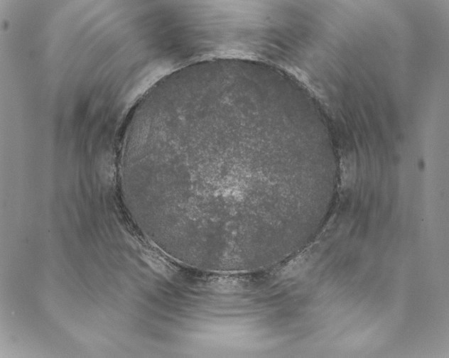 X0000090501266200707131343