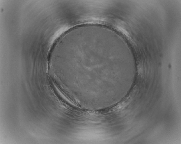X0000090501267200707131343