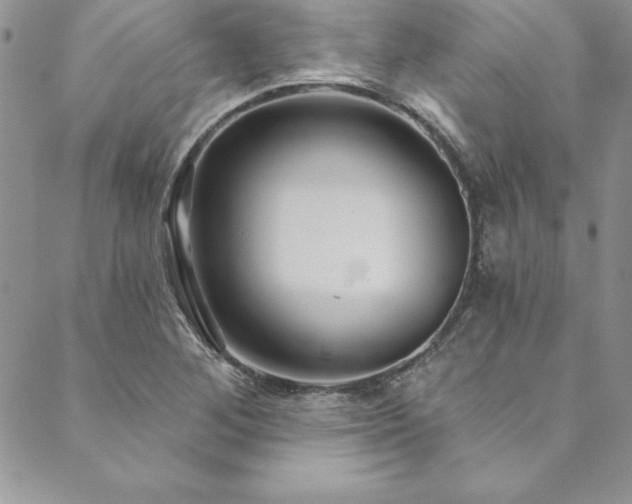 X0000090501268200707131343