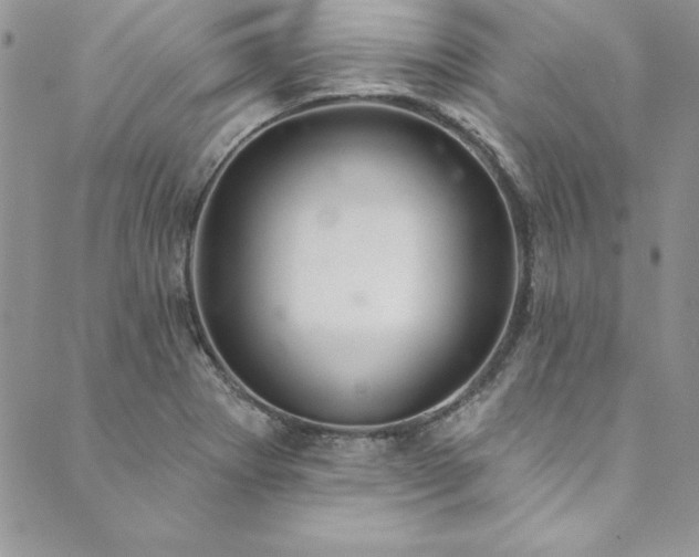 X0000090501273200707131343