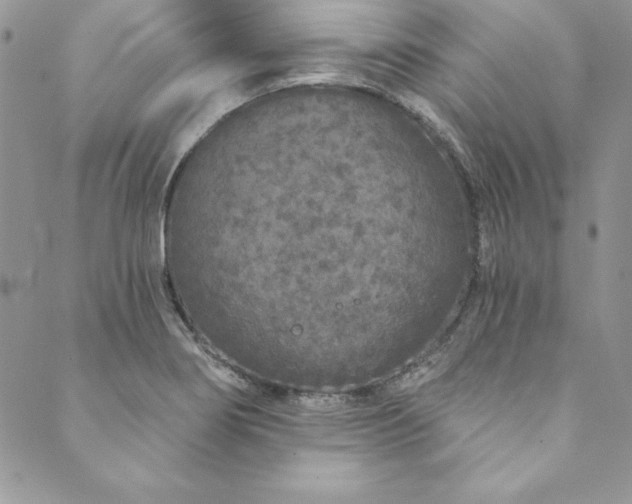 X0000090501274200707131343