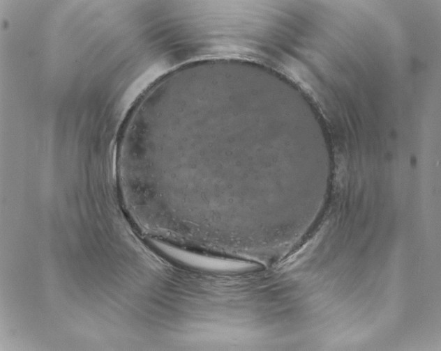 X0000090501275200707131343