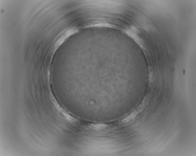 X0000090501282200707131343