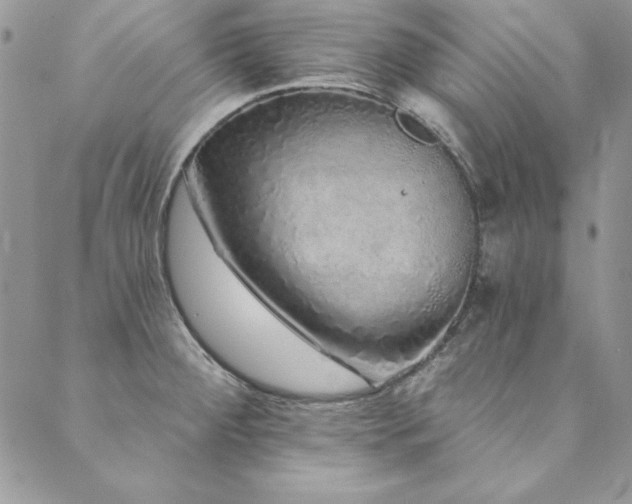 X0000090501284200707131343