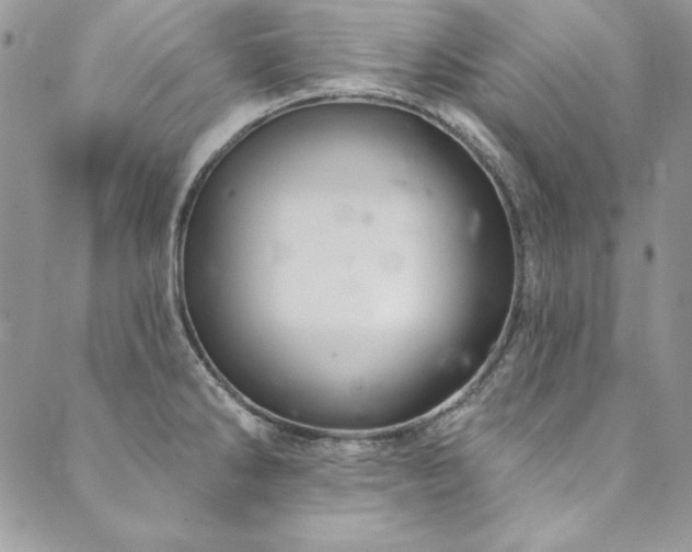 X0000090501286200707131343