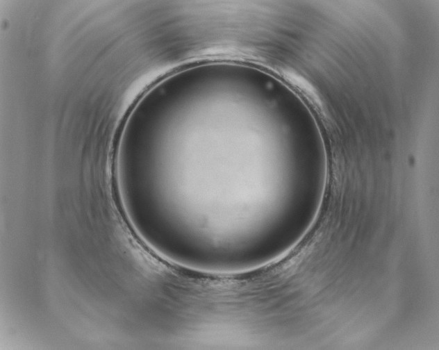 X0000090501288200707131343