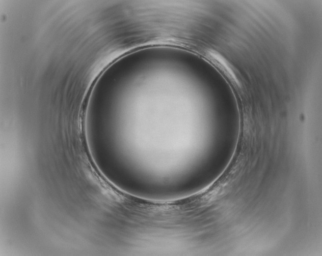 X0000090501292200707131343