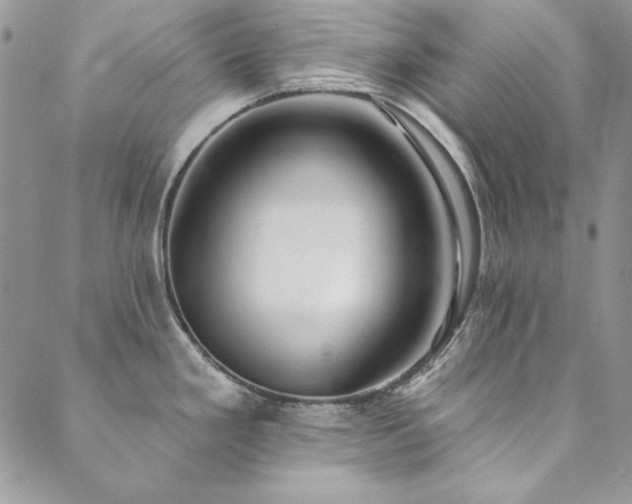 X0000090501293200707131343