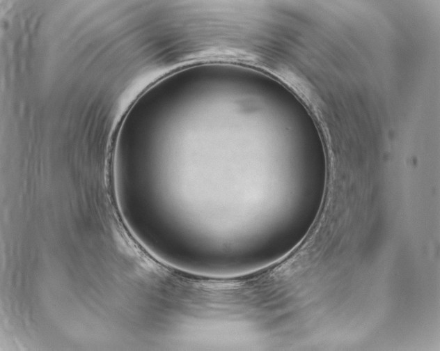 X0000090501296200707131343