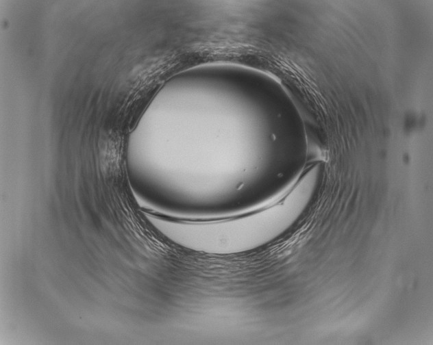 X0000090501300200707131342