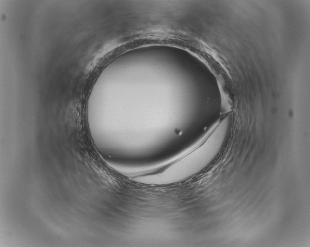 X0000090501304200707131342